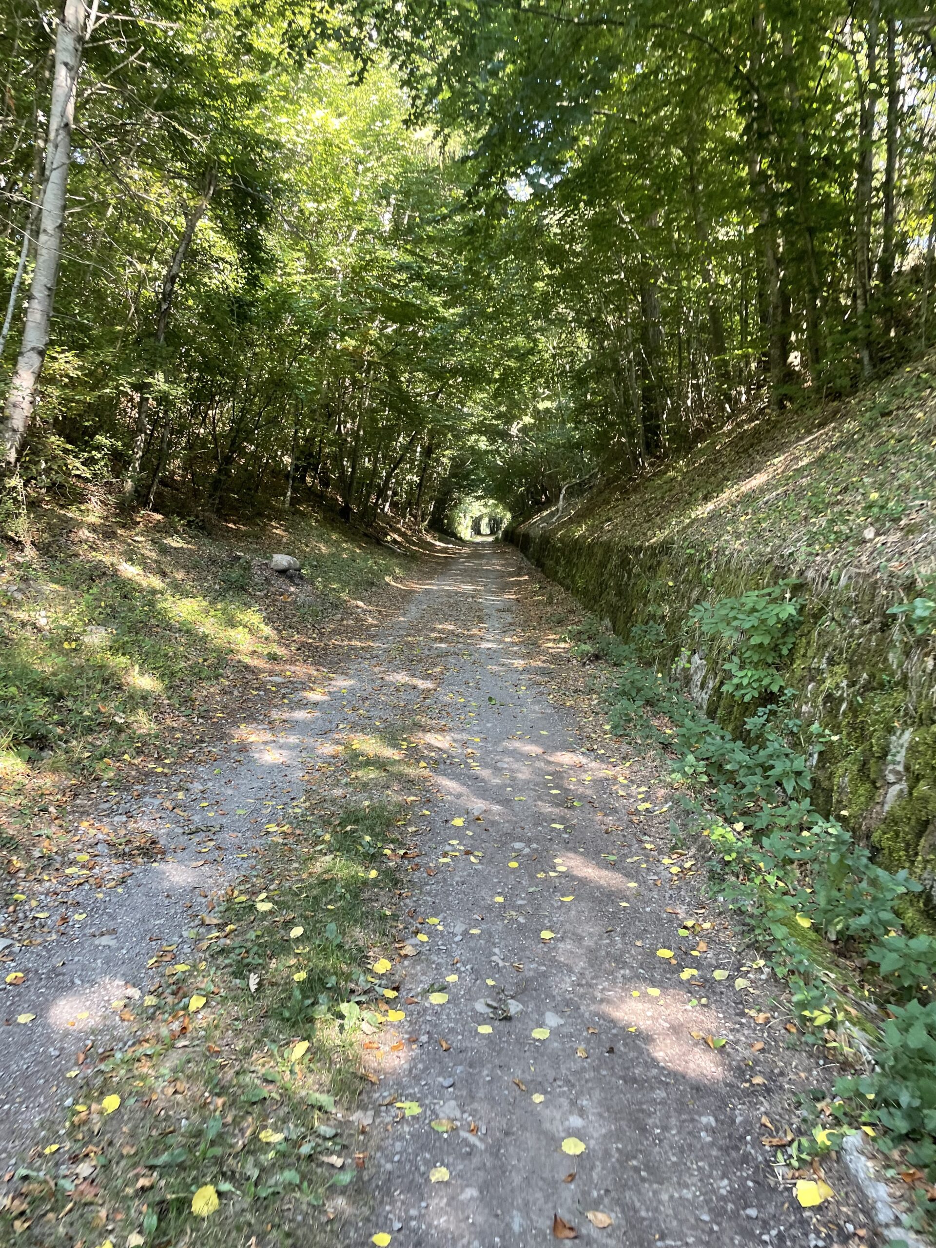 sentier patrimoine pont blanc voie